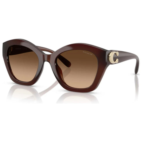 Lentes de sol COACH café (reserva por whatsapp)